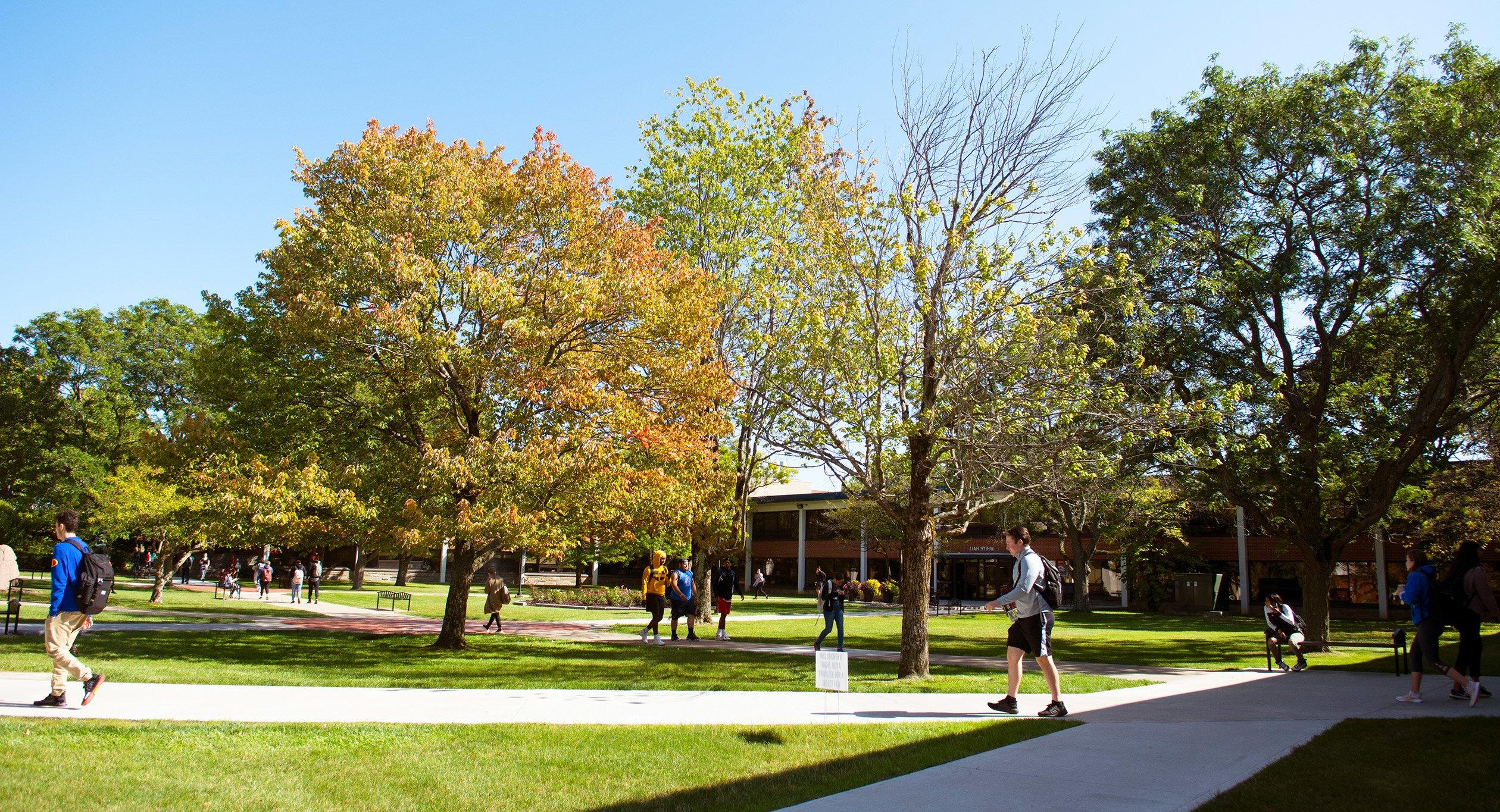 Utica College campus